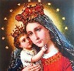 Pray the Rosary