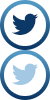 Social media Twitter logo